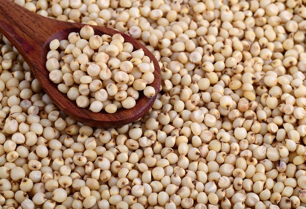 278569178 h 1024x700