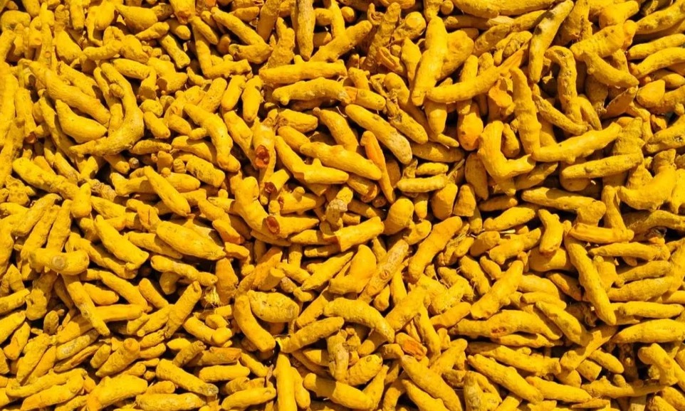 whatsapp image 2025 12 06 at 3.47.27 pm